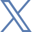X  Icon